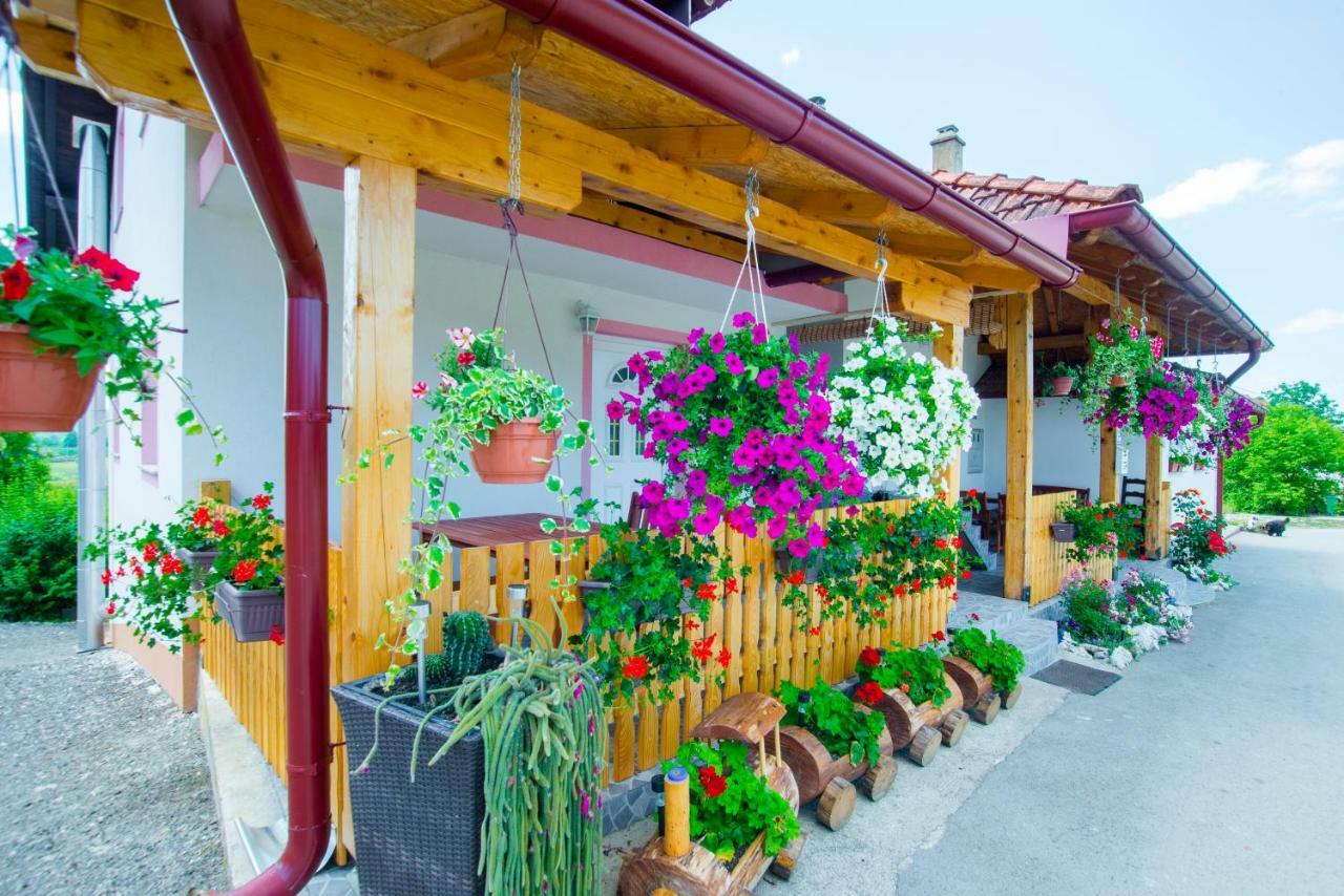 Guesthouse Ella Slunj Luaran gambar