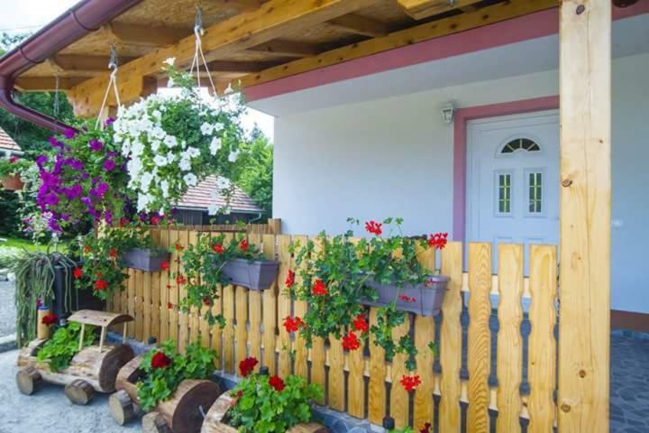 Guesthouse Ella Slunj Luaran gambar